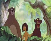 the jungle book.jpg from old jungle movie