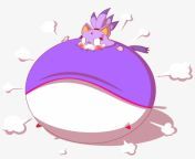 323 3231286 blaze the cat inflation minecraft inflation.png from minecraft unicorn inflation