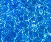 1659538313763.jpg from water pool