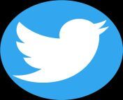 twitter logo transparent pngver2020 08 07 151257 833 from twitter