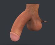 realistic male penis 01.jpg from 3d dick