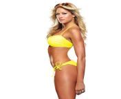 01 diva cover wip4 1234013025.jpg from wwe sexy diva kelly