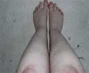 hairy1 2975247b.jpg from pic womens haire legs
