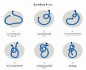 how to tie a bowline knot step by step.jpg from tied k