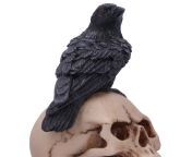 nn u5744u1 ravens spell raven figurine close up.jpg from spell raven