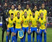 brazil football team jpeg from brazil familynudis