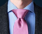 balthus knot.jpg from knot