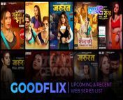 good flix web series 2023.jpg from goodflix movies