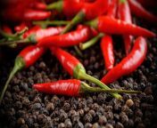 pepper red sharp chile wallpaper.jpg from red chil