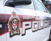 guelph police stock 2016.jpg from school sexs age 14 to 18 irani 3gp