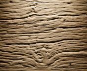 rough old wood asteiche rustikal.jpg from rough