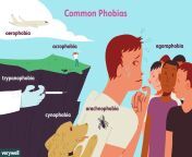 most common phobias 4136563 final2 5b32adb946e0fb003726204e.png from phroba