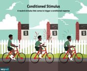 what is a conditioned stimulus 2794975 color1 5c019224c9e77c00013b3ec6.png from stimuli n