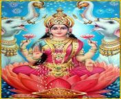 goddess lakshmi.jpg from laxmi yogi