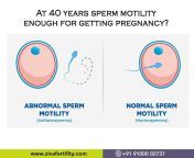 at 40 years of sperm motility is enough for getting pregnant.jpg from pregnantsperm