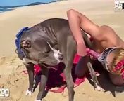 funfunxx blonde woman having sex with dog on the beach.jpg from funfunxx vedio
