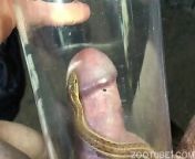 19.jpg from snakes sex and xxx videos