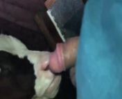 preview mp4.jpg from calf blowob