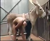 porno with donkey fucking womans ass.jpg from sex donki with woman
