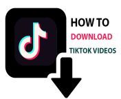 how to download tik tok videos.jpg from video dawnlod com