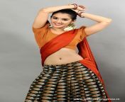 malvika sharma half saree navel 1.jpg from south indian actress navel