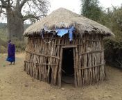 wood roof home rustic travel hut village shack remote rural africa residence residential agriculture dwelling cob ethnic tribe wooden straw poverty tanzania tribal african thatched safari massai thatching rural area boma cutlure 984353.jpg from village made