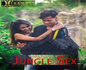 jungle sex 2022 xtramood hindi hot short film 1080p hdrip 250mb download watch online.jpg from hindi xex jungli film