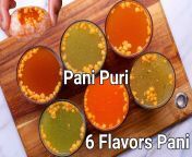 6 types of pani for pani puri recipe meetha pani jeera pani lahsun pani imli ka pani 1 scaled jpeg from ke pani