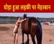 1754477 girl horse.jpg from sex india photoxxx लडकी घोडा video son