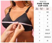how to meausure bra new graphic 1570655106 pngresize480 from read bra