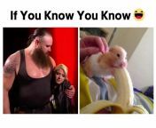 if you know you know meme on braun strowman and alexa bliss 1024x768.jpg from if you know you know