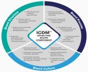 icdm competency framework 02.png from icdm purenu