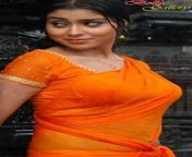 1c1022585f2b253ce4c398614243bd18.jpg from download sexy tamil actress shriya sharan
