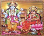 81686342fe1527436f1bb5726da647b5 pagan gods lord vishnu.jpg from hindu devi devta