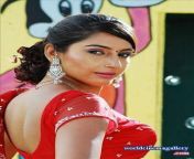 18a1b7bc17ef511e9c18a5e7f9052320.jpg from tamil actress kannada hot saree dip sexy first night