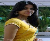 bb2d4446bd564743a93be9aef553f373.jpg from tamil actress dhansika