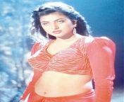 f96d19bb65ff9b986d2ee290cbe634fb.jpg from tamil actress roja sexy hot