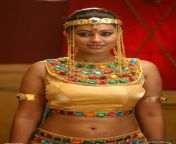 747ca5c22a24abeb9647bfcf85904bfe.jpg from tamil actress sneha ho