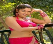 dff117e38667225afd236c93d02621d0.jpg from tamil actress muktha banu nude sex