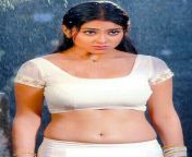 f0206a8f3a3b285a26015d998b726209.jpg from download sexy tamil actress shriya sharan