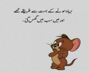a45bd04e337b23ae1ce05a9456e90fea.jpg from urdu cartoon funny tom and jari