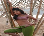 6d9981899e7bbd2b588f2b089462ea2f.jpg from amala paul xxx images without dress