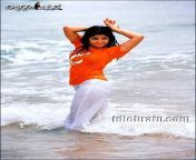 07ede191a947d70d535d18c6a7454f0e.jpg from tamil actress panty in skirtan aunty boob press milk out video actress kushboo xxx boobsadeshi 16yars hot boobs sexy photosian 18 old desi beautyan sindhi sexey