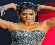 p4nydr80tgv61.png from tamil actress priyamani sexndian heroin shruti hassan poalayalam actress anu ka purn