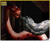 maxresdefault.jpg from hollywood movie boa vs python