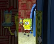 maxresdefault.jpg from spongebob why arent you in uniform here is the more fun version than what the on tik tok got mp4