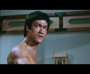 hqdefault.jpg from bruce lee video