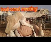 hqdefault.jpg from hd hindi camel bai sex pg video school xxx videos marathihindi pon vedio maa