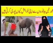 hqdefault.jpg from انگلش فلم سکس جانور لڑکی ویڈیو sex school xxx videos pakistani school g