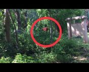 hqdefault.jpg from delhi buddha garden sex mms video com xxx 2014 2017 hindi videosdian sunyvideoxxx